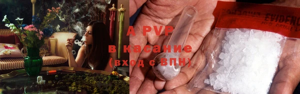 индика Абдулино
